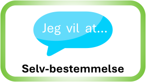 Til: Slvbestemmelse